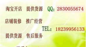 淘寶創(chuàng)業(yè)全攻略 從開店、推廣到專業(yè)培訓(xùn)，解鎖網(wǎng)店經(jīng)營核心技術(shù)